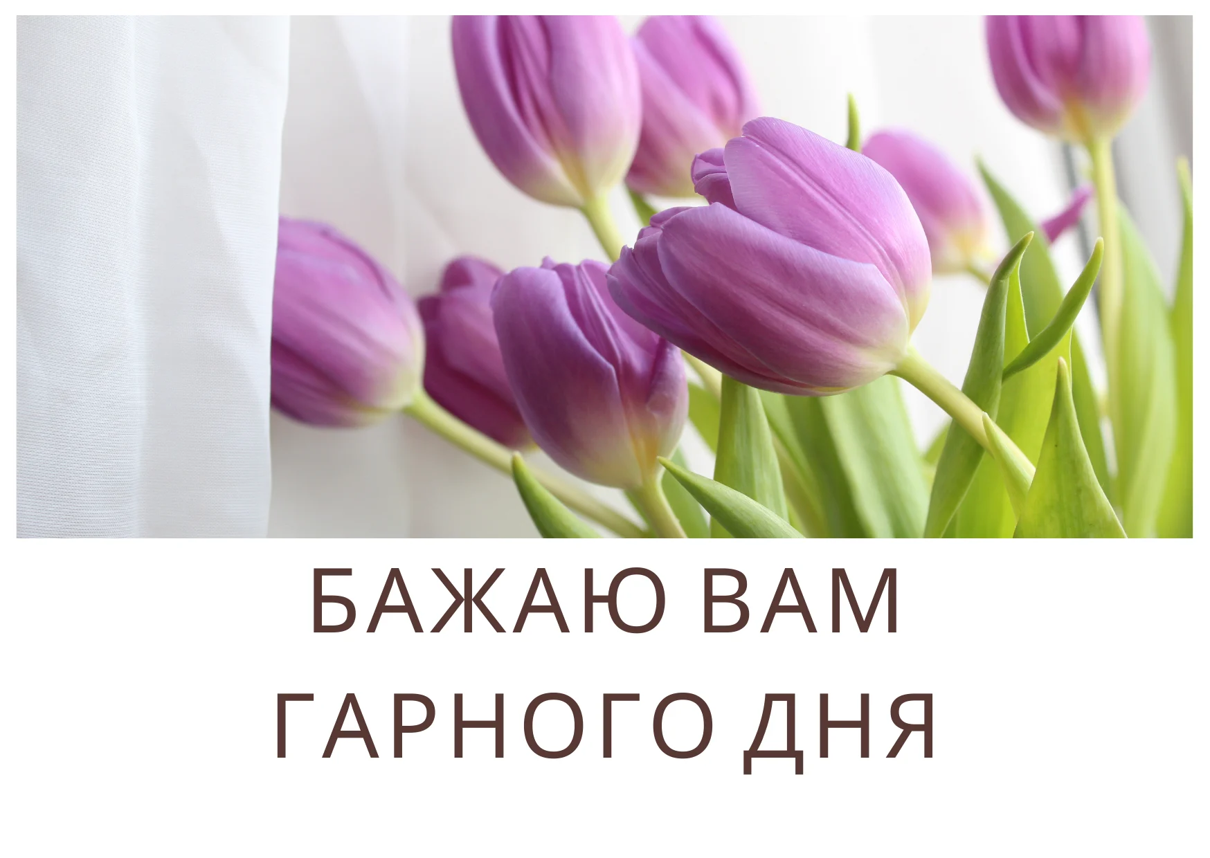 Доброго дня - картинки та привітання українською